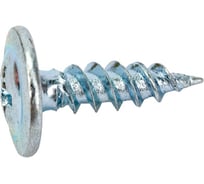 Саморез с прессшайбой Daxmer пш 4,2x14 500 шт., цинк, усиленный, острый 00-00453747