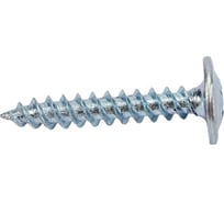 Саморез 4,2*75. Саморез рн 2. 5х51. Саморез рн 2. Саморезы с прессшайбой 4,2х50.