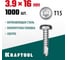 Нержавеющие саморезы KRAFTOOL DS-P с полукруглой головкой, 16x3.9 мм, 1000 шт. 300931-39-016 2