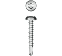 Нержавеющие саморезы KRAFTOOL DS-P с полукруглой головкой, 32x3.9 мм, 380 шт. 300931-39-032