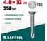Нержавеющие саморезы KRAFTOOL DS-C с потайной головкой, 32x4.8 мм, 250 шт. 300932-48-032 2