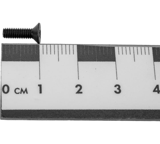 Винт ЦКИ DIN 7991, М3x10, 10.9, ОКС, HEX2, 100 шт. 6372