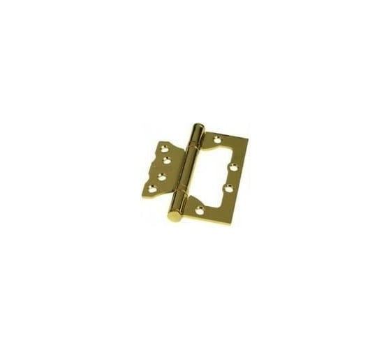 Накладная петля PALIDORE 100х75х2,0 2ВВ PB TURDUS, золото блестящее 98760074 1