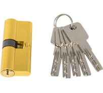 Цилиндр PALIDORE алюмин. А 70 PB (ключ/ключ, золото блестящее) TURDUS 98760951