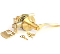 Ручка с защелкой-кноб PALIDORE Arsenal 860 SB BK, золото матовое 98760453