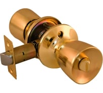 Ручка-кноб PALIDORE Arsenal 3091 PB BK, золото блестящее 98760151