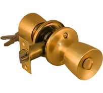 Ручка-кноб PALIDORE Arsenal 3091 SB PS, золото матовое 98760159