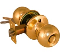 Ручка-кноб PALIDORE Arsenal 607 PB BK, золото блестящее 98760166