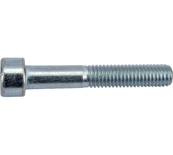 Винт с внутренним шестигранником МЕТАЛЛСЕРВИС M8x50 DIN 912 цинк, 20 шт. 1239396