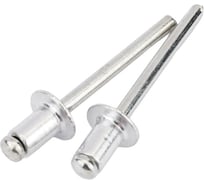 Вытяжная заклепка МЕТАЛЛСЕРВИС DIN 7337, алюминий / сталь, 4,8x8, 100 шт. 1238455