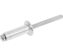 Вытяжная заклепка МЕТАЛЛСЕРВИС DIN 7337, алюминий / сталь, 6,4x18, 100 шт. 1238471