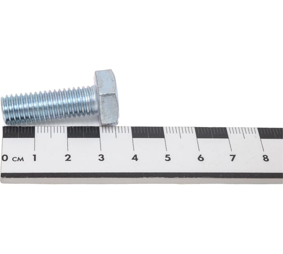 Болт МЕТАЛЛСЕРВИС М10x30, DIN 933, с полной резьбой, цинк, 20 шт. 1243623