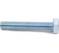 Болт МЕТАЛЛСЕРВИС М10x60, DIN 933, с полной резьбой, цинк, 10 шт. 1243606