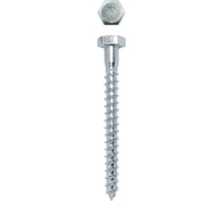 Сантехнический шуруп глухарь Daxmer DIN 571 10x100, 500 шт 00000332078