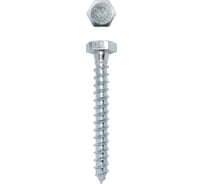 Сантехнический шуруп глухарь Daxmer DIN 571 6x60, 2000 шт 00000308781