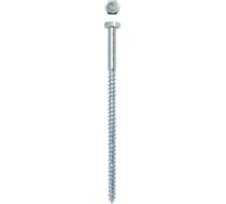 Сантехнический шуруп глухарь Daxmer DIN 571 8x150, 600 шт 00000352749