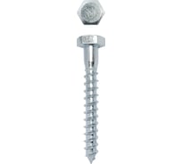 Сантехнический шуруп глухарь Daxmer DIN 571 10x80, 550 шт 00000308794