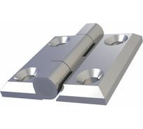 Накладная петля ТРИЗАМ ПН4040.1.2.4 40x40, металл, хром, 4 отверстия М5, 180°, 2 шт. TRZ0239