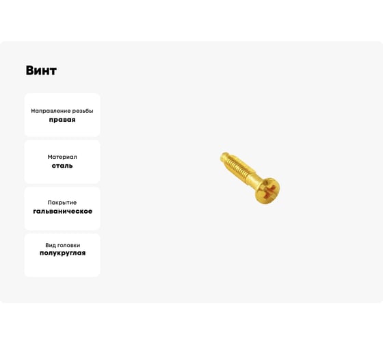Винт для установки с силовыми, телефонными и компьютерными розетками Bironi металл, цвет золото, 10 шт./уп. B-912-31-10