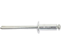 Вытяжная заклепка Daxmer 4,8x12 мм, алюминий/сталь, короб, 500 шт 00-00463569