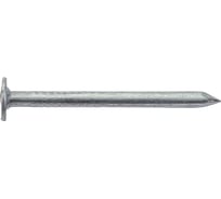 Строительные гвозди Стройбат цинк, 2,0x25, 0,3 кг 4521