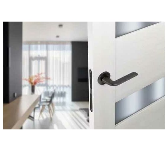 Дверные ручки ADDEN BAU DOVE S-484 GRAPHITE 940002023007