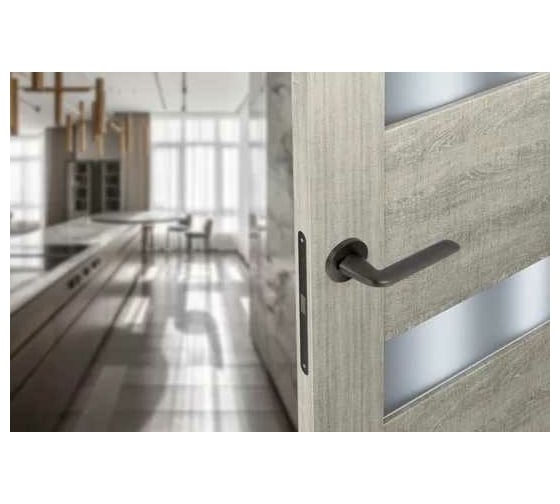 Дверные ручки ADDEN BAU DOVE S-484 GRAPHITE 940002023007
