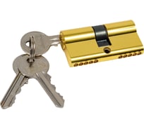 Цилиндр для замка SCHLOSS ШЛОСС 03008 ключ/ключ (30+30) S 60 золото тов-123598