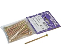 Шуруп крепежная техника желтый цинк, 4,0x70 20 шт. 11352