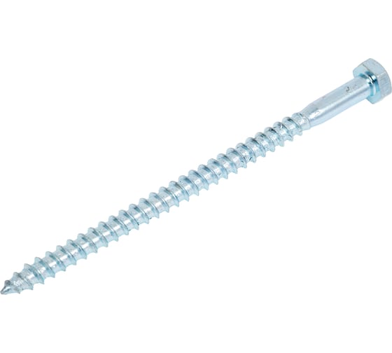 Шуруп с шестигранной головкой крепежная техника 6x100 5 шт. 12016 1