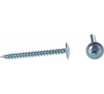 Саморез крепежная техника прессшайба, острый, 4,2x76 200 шт. 430418 БК