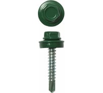 Кровельный саморез крепежная техника зеленый мох, 5,5x19, RAL 6005 25 шт. 11126