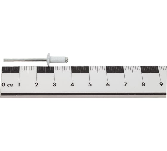 Вытяжная заклепка крепежная техника 4,0x10 белая ral 9003 50 шт. 59400
