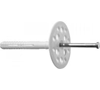 Дюбель для изоляции с металлическим гвоздем крепежная техника 10x160 50 шт. 471019 БК