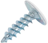 Саморез с прессшайбой крепежная техника белый, 4,2x16, ral 9003, острый, 50 шт. 10600