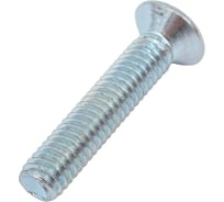 Винт с метрической резьбой крепежная техника потайной, din 965, 6x30, 10 шт. 38468