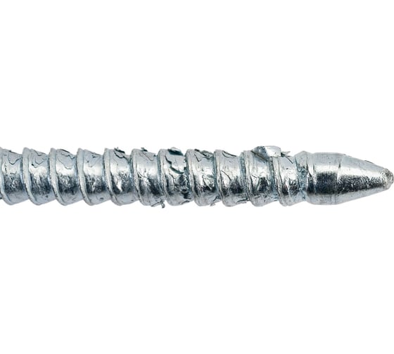 Дюбель-гвоздь крепежная техника потайной бортик, 10x100, 2 шт. 50830