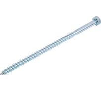 Шуруп с шестигранной головкой крепежная техника 10x200 20 шт. 497178 БК