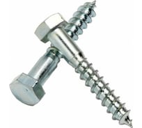 Шуруп с шестигранной головкой крепежная техника 10x160 20 шт. 497138 БК