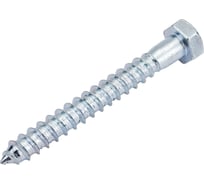 Шуруп с шестигранной головкой крепежная техника 12x100 10 шт. 497188 БК