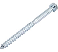 Шуруп с шестигранной головкой крепежная техника 12x160 10 шт. 497194 БК