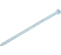 Шуруп с шестигранной головкой крепежная техника 8x160 30 шт. 497126 БК