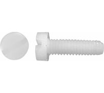 Винт с цилиндрической головкой со шлицем DINFIX DIN 84, полиамид (пластик), M5x25, 10 шт. 00-00003072
