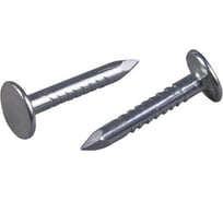 Толевые оцинкованные гвозди vipкрепеж 2,0x25 мм, 100 шт. 23101 VIP 24984681