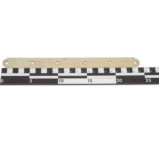 Крепежная мебельная пластина РК ГРУП 250x20 РКГ00006828