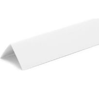 Отделочный угол ООО Торговый дом Аргумент ПВХ 25x25 2,7м 10 шт APKG414White