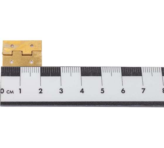 Шкатулочная латунированная петля ALBERTS 20x15 мм, 4 шт. 953348