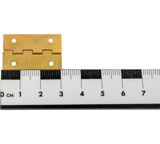 Шкатулочная латунированная петля ALBERTS 20x26 мм, 4 шт. 953362