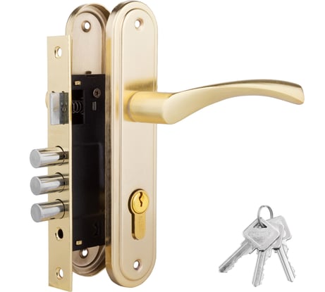 Дверной комплект PALIDORE LH 7036-X11 PB, золото блестящее 98760061