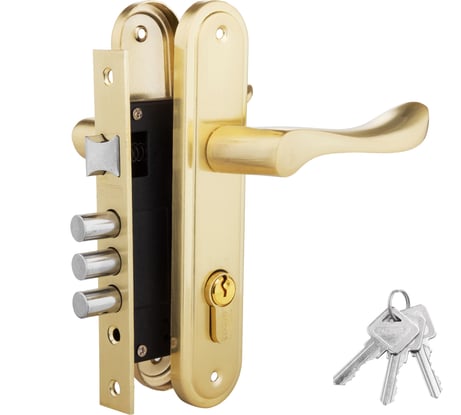 Дверной комплект PALIDORE LH 7036-891 SB, золото матовое 98760058